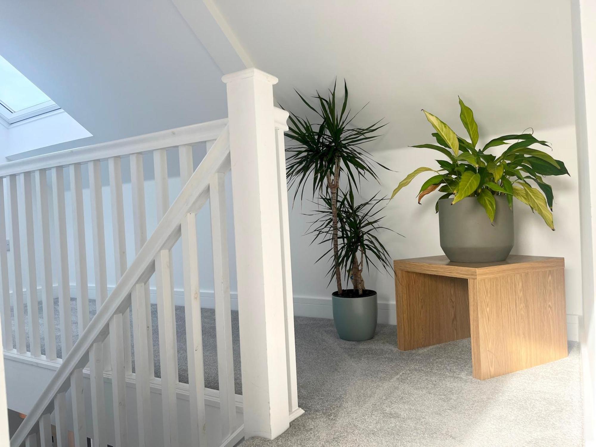 Stunning Penthouse In Penzance "Amazing Sea Views" Leilighet Eksteriør bilde